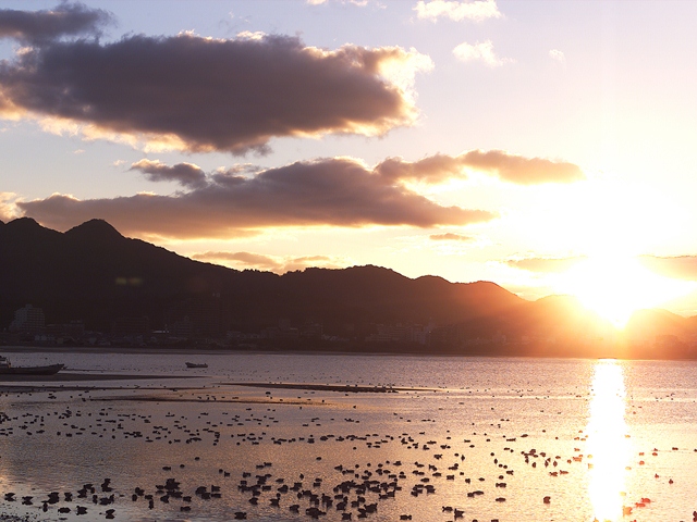 和白干潟の写真