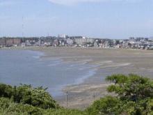 和白干潟の写真