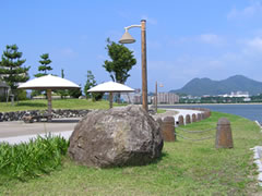 画像：アイランドシティ外周緑地