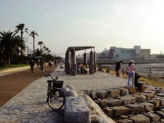 画像：御島ゾーンの護岸・遊歩道