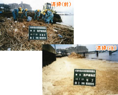 画像：海浜地清掃の前後