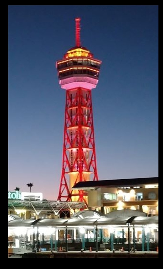 温かみのあるオレンジの秋冬ベースライトアップの写真