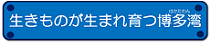 生きものが生まれ育つ博多湾
