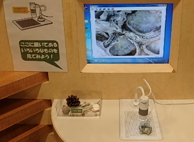 マイクロスコープコーナー1