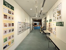 展示の様子２
