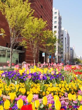 天神の街に花が咲いている様子