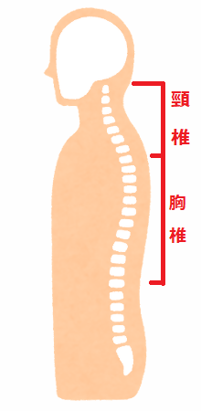 頸椎の場所のイラスト