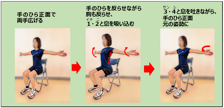 運動のポイント