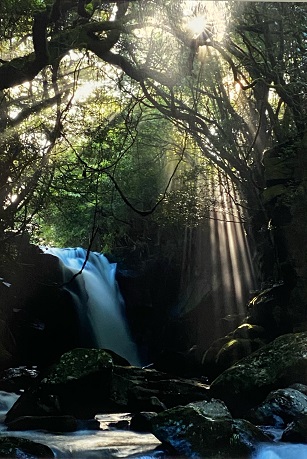 中村由里子さんの写真の作品、タイトル「夫婦滝」