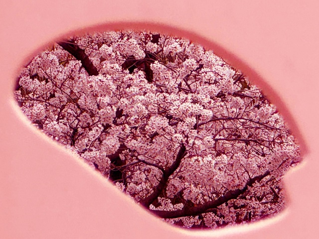 準グランプリ２