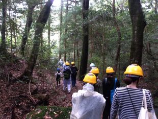 森を散策している写真