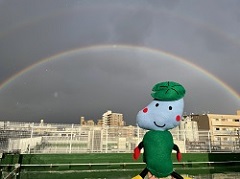 区役所から見えた大きな虹　2021年11月撮影