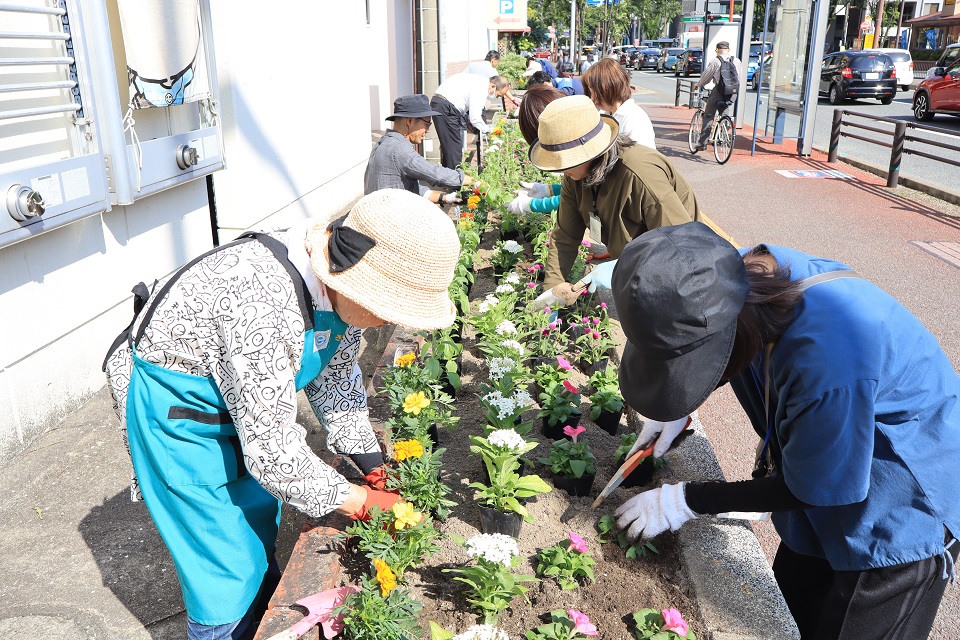 南区役所の花壇の植え替えの様子2