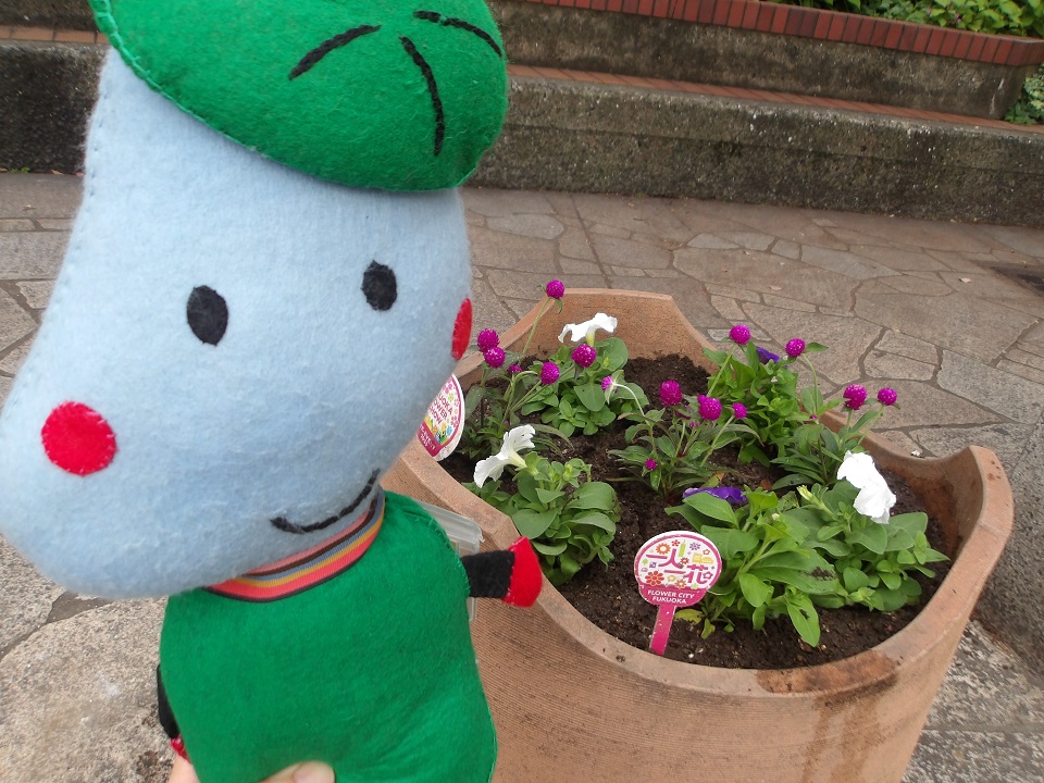 大橋駅西口広場の花壇植え替えの様子4