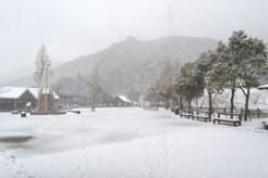 雪に覆われたも～も～らんど油山牧場2014年1月撮影