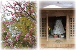 老司三丁目の子ども地蔵と梅の花2014年3月撮影