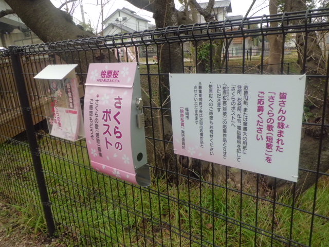 さくらのポスト