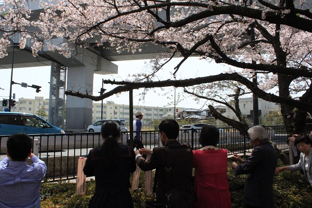 短冊をかける様子