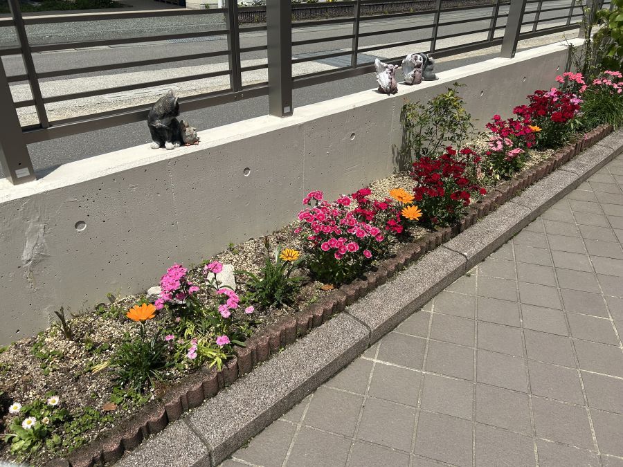 のためこども園 花壇写真2