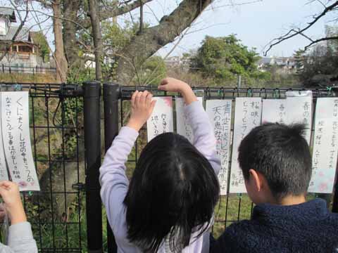 短歌を飾る子どもたちの写真２