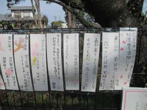 子ども達が飾った短歌の写真