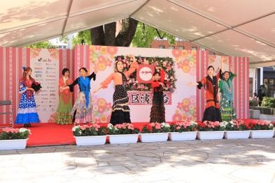 poco a pocoフラメンコサークル（4日）の画像