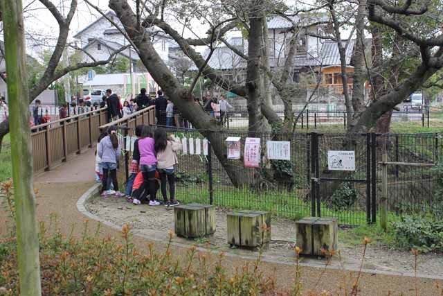 子供たちの画像２