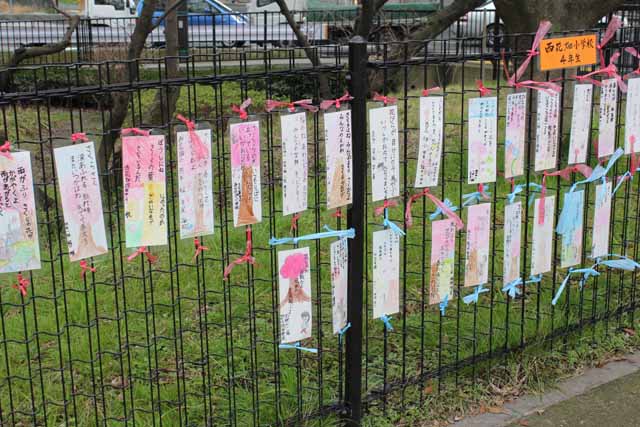 短冊が飾られている様子