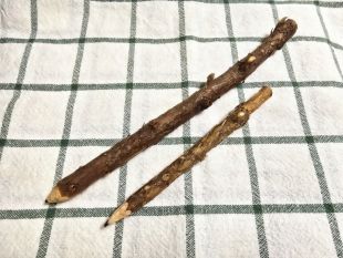 小枝を作ったクラフト作品の写真