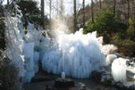 市民の森・冬の噴水2011年1月撮影