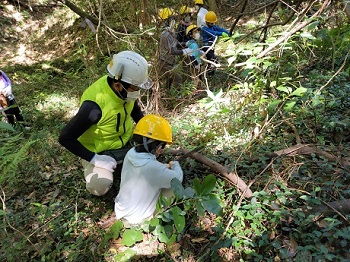 2021年「こうのす山で森のワークショップ」の写真