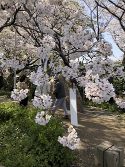 ２枚の短歌短冊