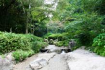 柏原公園2009年9月撮影