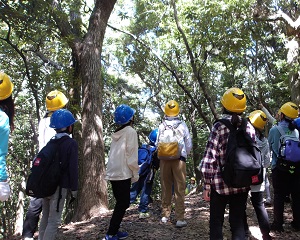 2023年のワークショップの様子(森の観察）