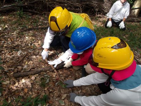 2024年のワークショップの様子（枯れ枝の処理）
