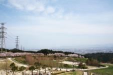 も～も～らんど油山牧場2008年4月撮影