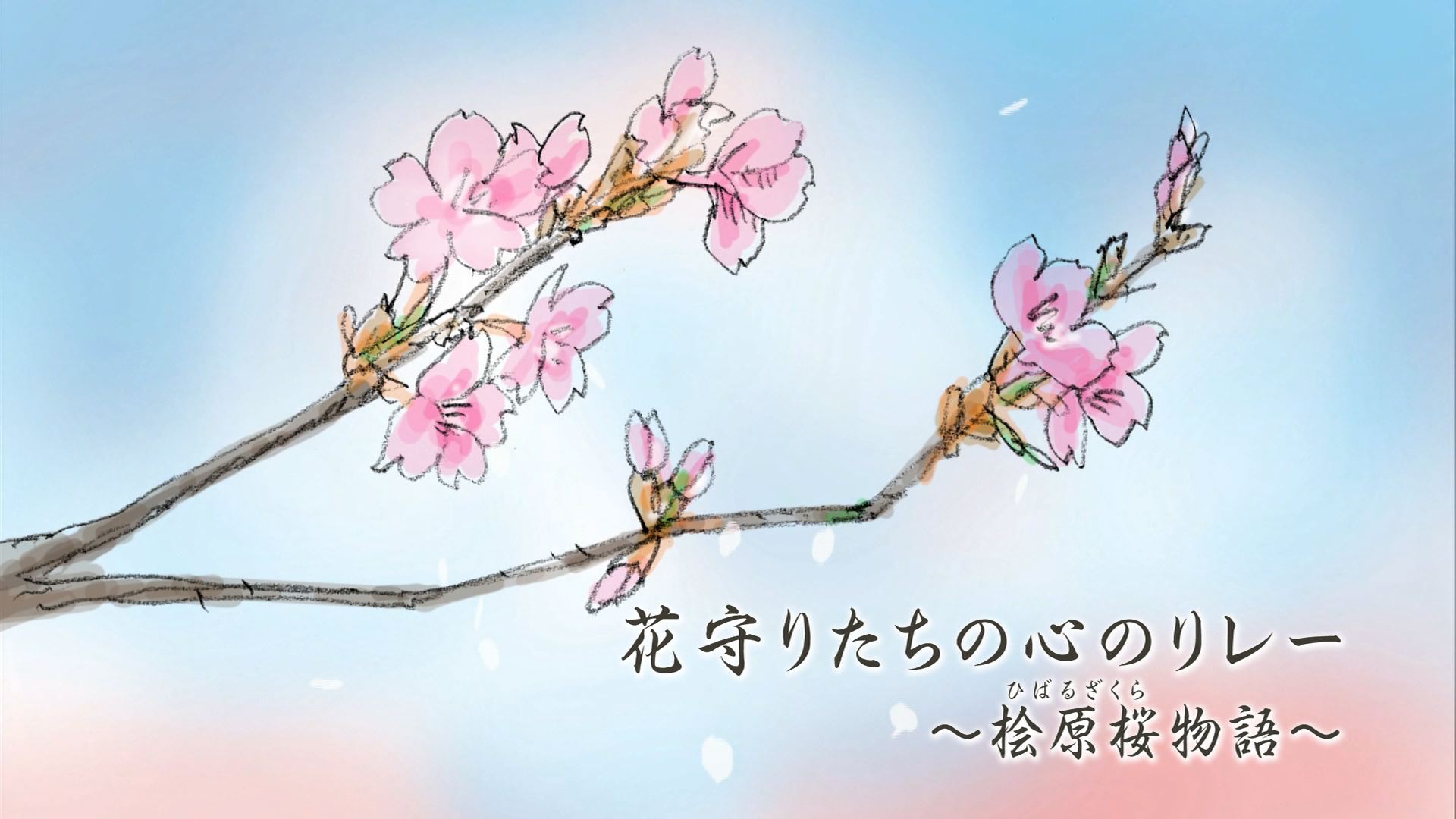 動画「花守りたちの心のリレー」