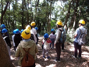 森を散策している写真