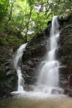 白波の滝（油山自然観察の森）2008年6月撮影