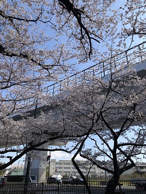 都市高速道路をバックに