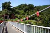 油山市民の森のつり橋2010年7月撮影