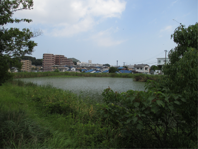 原田山池（原田池）の画像