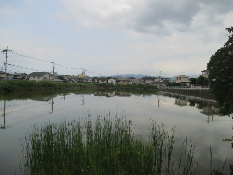 平原上池の画像