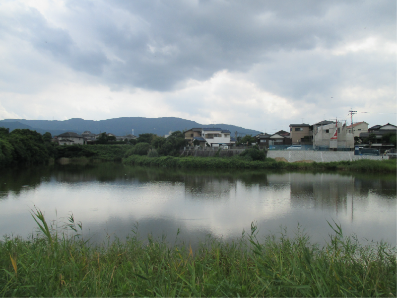 平原池の画像