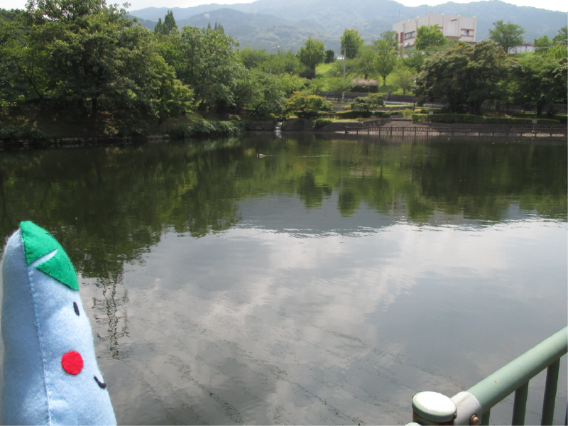 駄ヶ原下池の画像