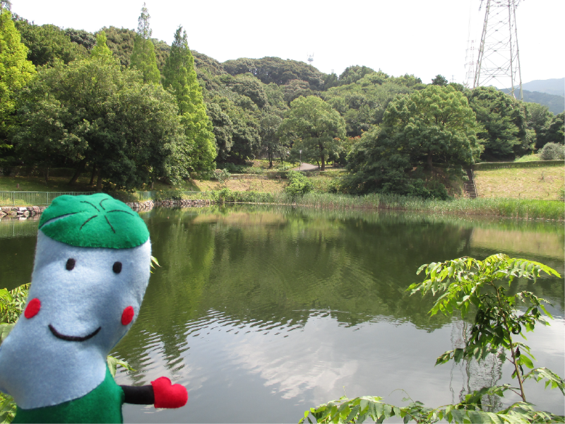駄ヶ原上池の画像
