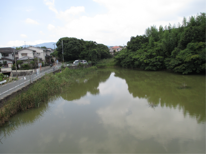 めぐり坂池の画像