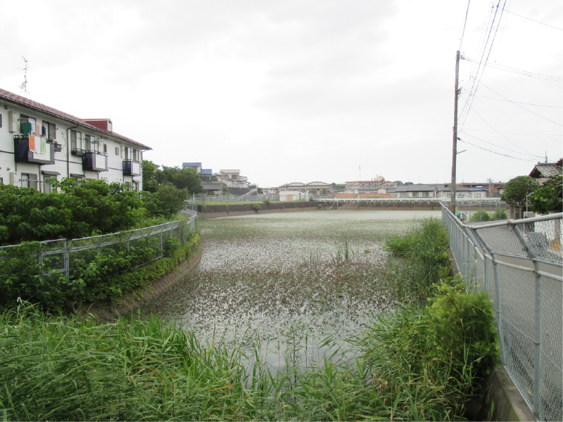 鶴田池の画像