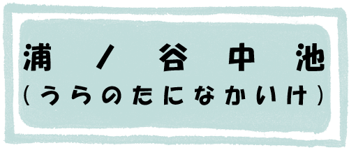 浦ノ谷中池のページへのリンク画像