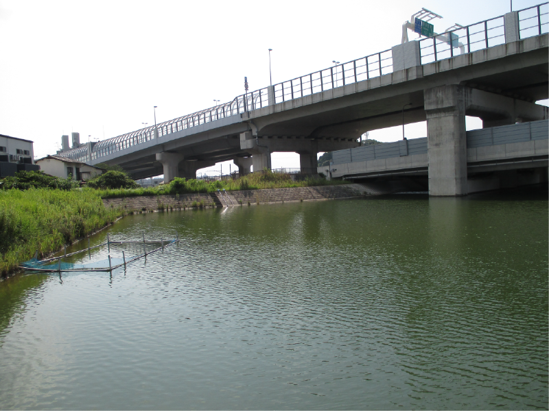 浦の谷中池の画像